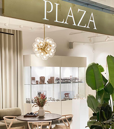Plaza case